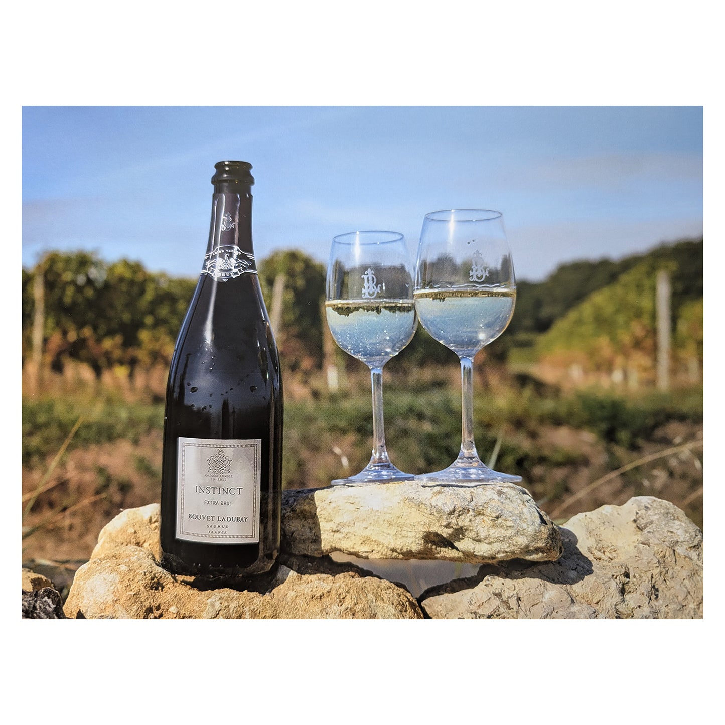 Video Bouvet Wein und Käse Tasting