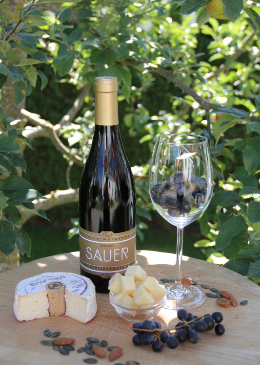 Video Sauer Wein und Käse Tasting