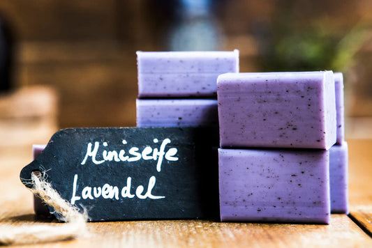 Lavendel mit Blüten Mini