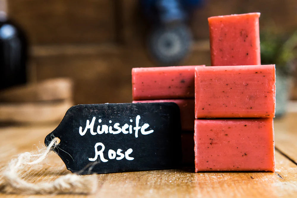 Rose mit Blüten Mini