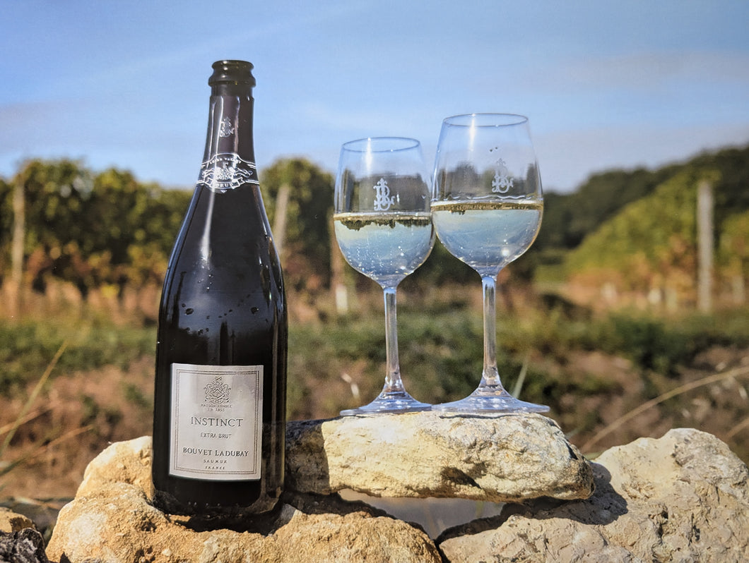 Online Wein und Käse Tasting 17.10.25