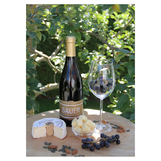 Video Sauer Wein und Käse Tasting